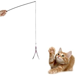 La Canne A Peche Le Jouet Parfait Pour Votre Chat Chat Maine Coon