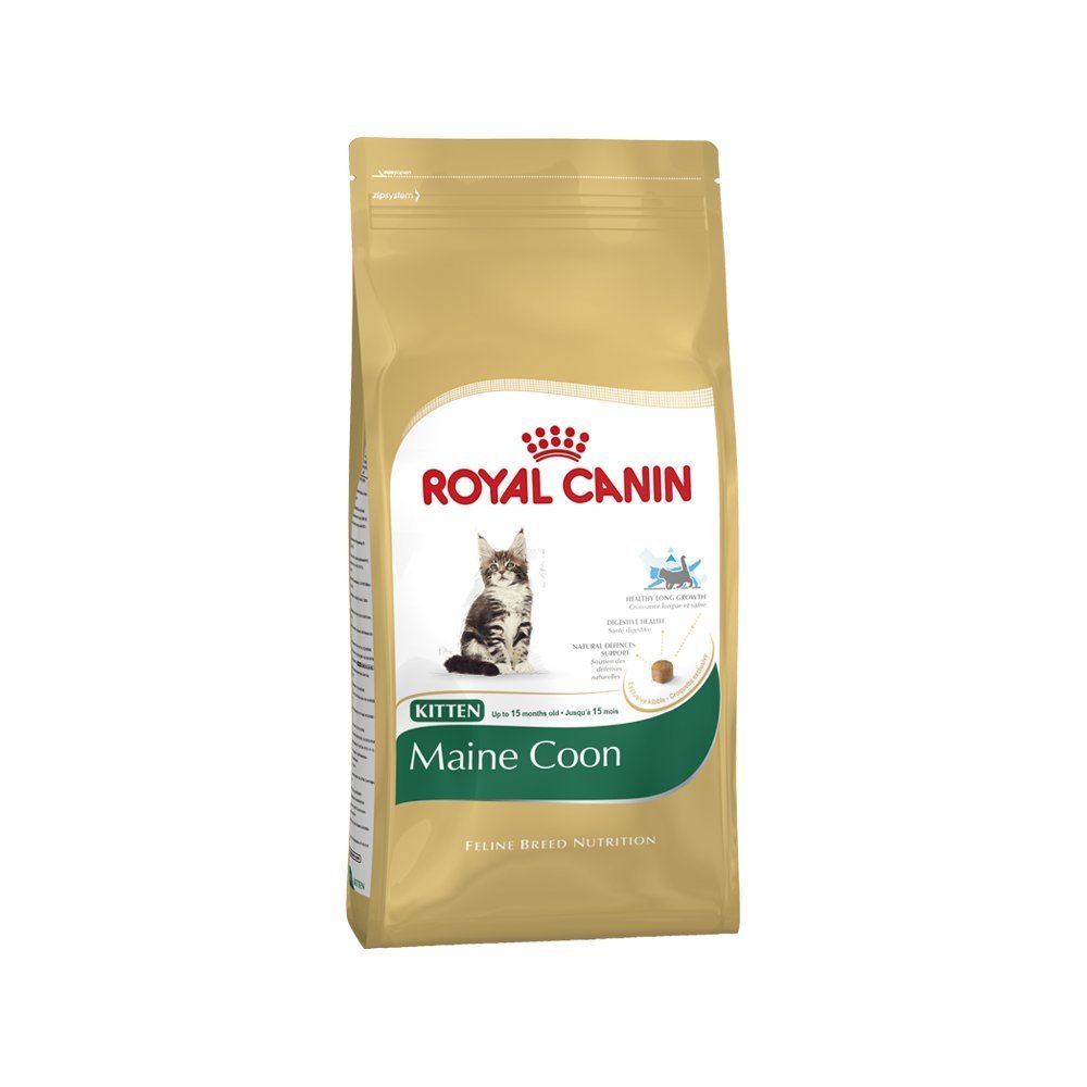 Croquettes pour chaton Maine Coon Royal Canin