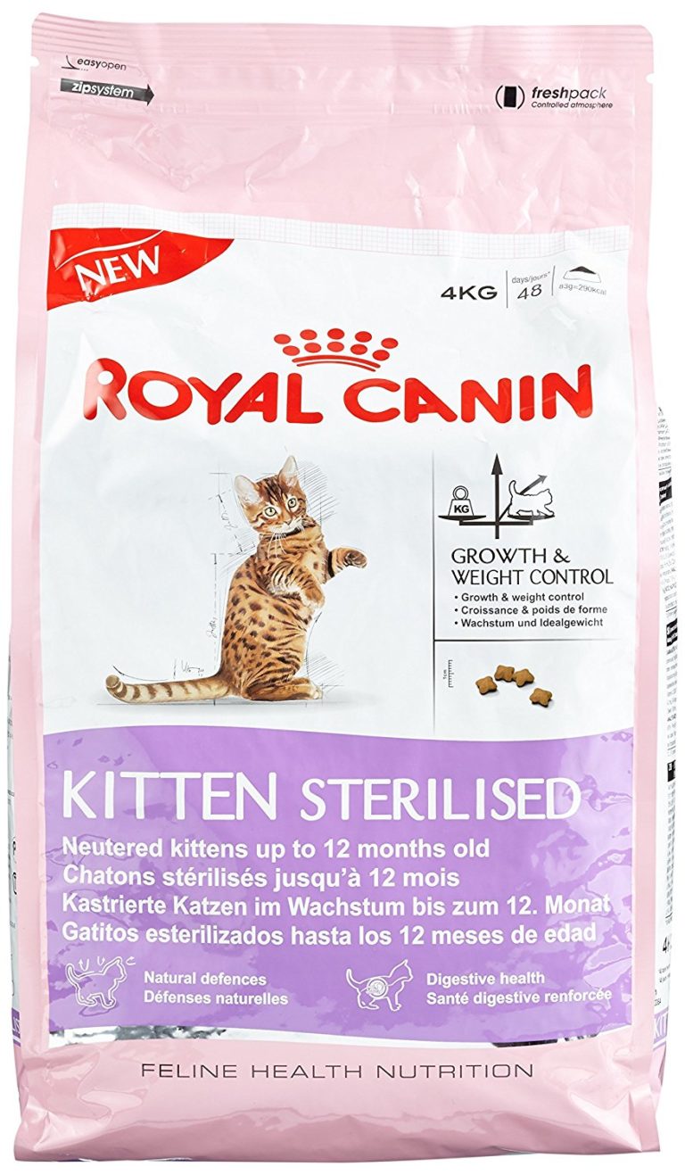 Croquette chaton royal promo canin