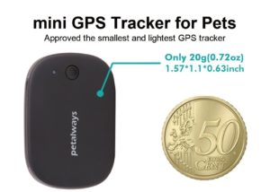 Traceur GPS pour chat