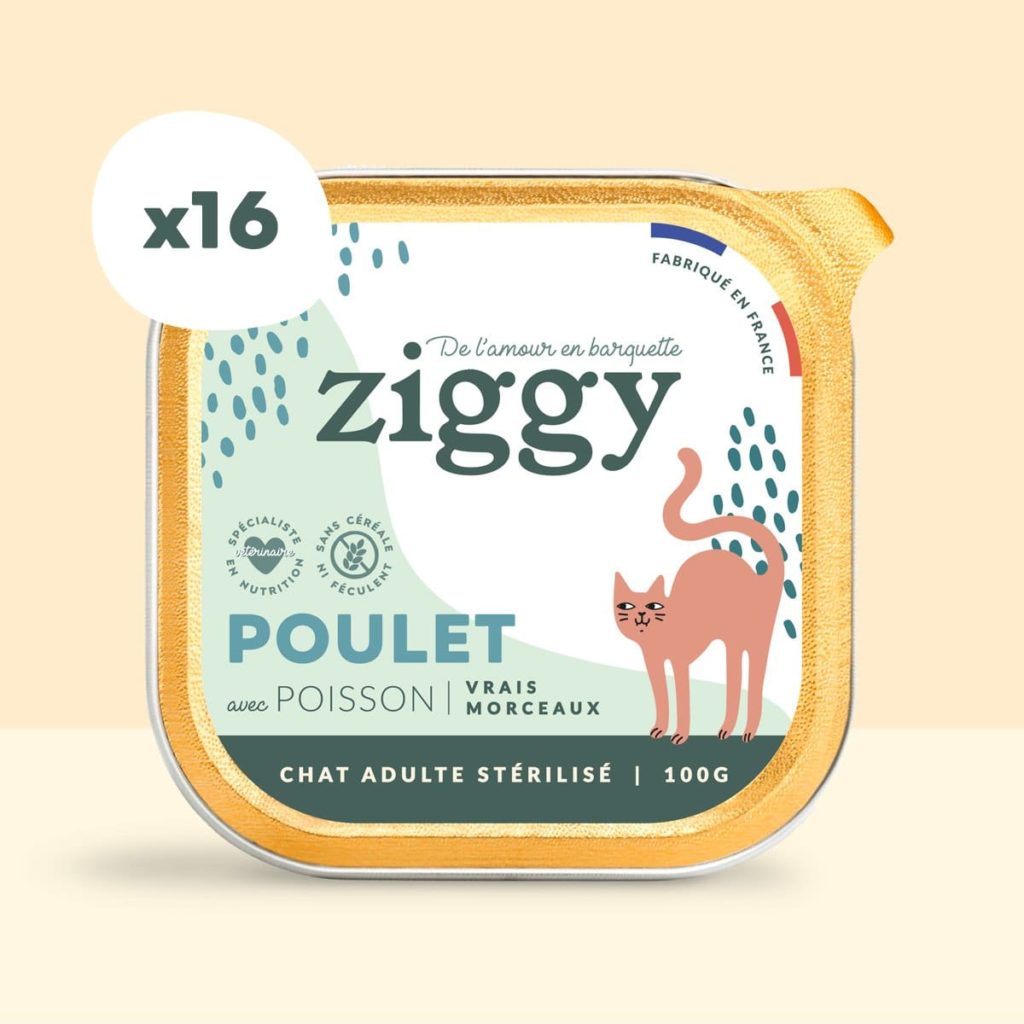 Pâtée Chat Sans Céréales - Poulet – Ziggy