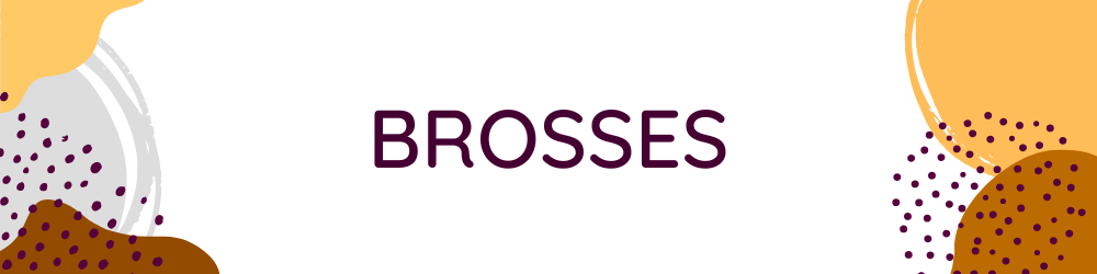 Brosses - Bannière - Chat Maine Coon