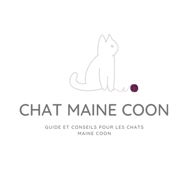 prénom pour chat mâle maine coon