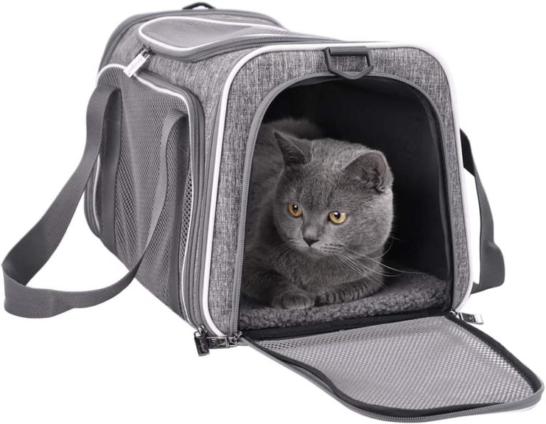 Sac, panier et cage de transport pour chats Maine Coon
